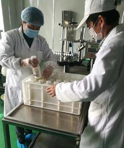 Pasteurizadores líquidos de <span class=keywords><strong>huevo</strong></span> <span class=keywords><strong>entero</strong></span> a la venta, pasteurizador de <span class=keywords><strong>huevo</strong></span> blanco y yema - Product Image 5