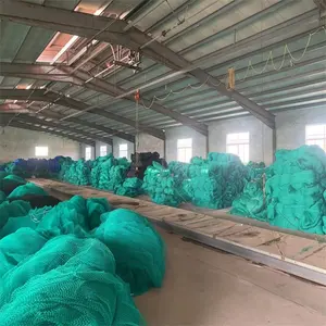 Factory Price Professional Hdpe Fish Net Fishing Net For Big Fish