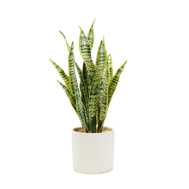 Tiger Orchid Bonsai Green Yellow Snake Sansevieria Pot Artificial Live Plastic PVC Tree Green Yellow Tiger Orchid Bonsai