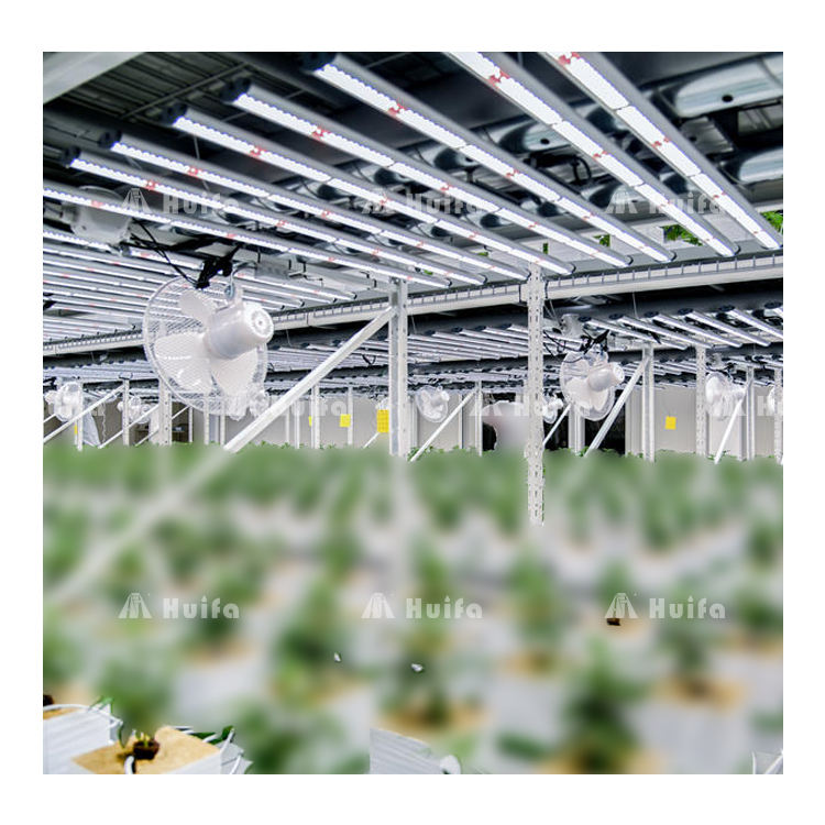 How to Choose the Best Indoor Farming Grow Rack for Your Needs