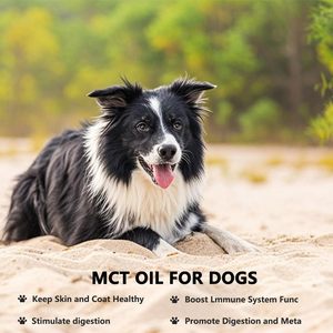 ETRUN ALISA <span class=keywords><strong>Olio</strong></span> MCT Premium Biologico Spremuto a Freddo <span class=keywords><strong>per</strong></span> <span class=keywords><strong>Cani</strong></span>, Trigliceridi a Catena Media C8 C10 60g, <span class=keywords><strong>per</strong></span> una Digestione Sana - Product Image 3