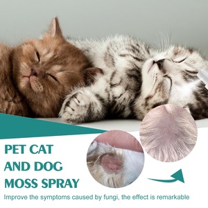 Spray apaisant doux pour la peau des animaux <span class=keywords><strong>de</strong></span> compagnie avec PVC pour l'entretien quotidien <span class=keywords><strong>de</strong></span> la peau des chiens et des chats dans la <span class=keywords><strong>salle</strong></span> <span class=keywords><strong>de</strong></span> <span class=keywords><strong>bain</strong></span> - Product Image 4