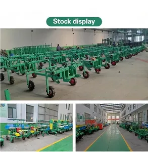 High Productivity Agricultural Machinery Core Components Bearing Vegetable Seedling Transplanter Cabbage Garlic Planting Machine