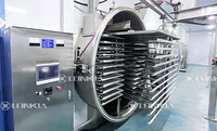Industrieel Gebruik Ce 200Kg 300Kg 500Kg 1000Kg Groot Vlees Pet Food Freeze Droger Snoep Fruit Vacuüm Kruiden Lyofilisator Machine