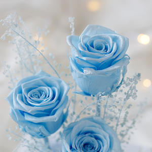 Usine En Gros Acrylique Boîte <span class=keywords><strong>Cadeau</strong></span> Préservé Rose Fleurs Luxueux Saint Valentin <span class=keywords><strong>Cadeau</strong></span> De Noce Faveurs <span class=keywords><strong>Cadeau</strong></span> D'<span class=keywords><strong>anniversaire</strong></span> - Product Image 2