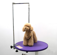 Sangle de toilettage pour chien en PVC imperméable, réglable, colorée, facile à nettoyer et à sécher rapidement