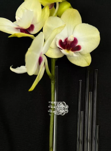 Transparent Plastic Orchid <strong>Support</strong> Clips Clear Plant Stem Fixing Clamp Garden <strong>Flower</strong> <strong>Support</strong> Holder Gardening Accessories - Product Image 4