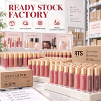 Rouge à lèvres liquide mat velours RTS 5g, 12 teintes, longue tenue, résistant au transfert, faible MOQ 3 pièces, vente en gros, logo personnalisé
