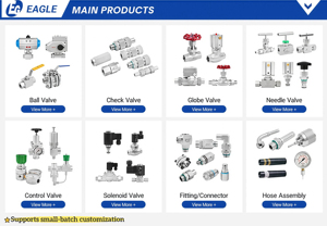 Válvula de Alivio de Presión de Acero Inoxidable EAGLE, Válvula de Seguridad Compacta de Baja Elevación Ajustable para Líquidos y Gases BSP NPT - Product Image 4
