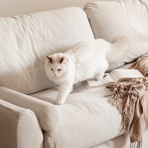 Divano in Tessuto di Lino Bianco Stile Giapponese Wabi Sabi Nordico per Due o Tre Persone, Sfoderabile e Lavabile, Arredamento Compatto - Product Image 2