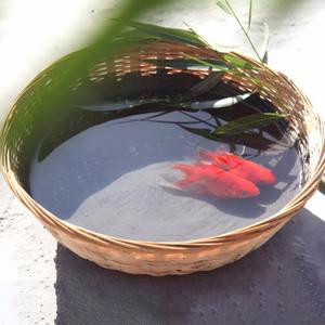 छत फर्श टाइल टाइल की मरम्मत के लिए मरम्मत के लिए पॉलिमर सीमेंट जेएस वाटरप्रूफिंग कोटिंग - Product Image 6