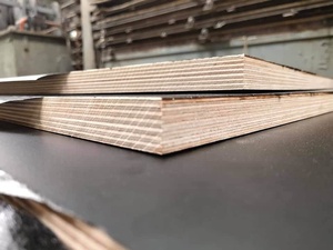 Plaque De gaufrage bouchon/1220x2440mm 1250x2500mm Utilisation Pour Le battage De Construction - Product Image 5