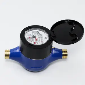 Mechanische Zuiger Verplaatsing/Volumetrische Droge Type Watermeter/R160/Hri/Rotary Indicator Register