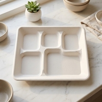 Assiettes jetables biodégradables et compostables à 5 compartiments, résistantes à l'huile et à l'eau, 100 % écologiques, pour le déjeuner et les fêtes