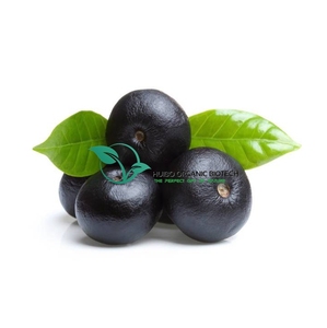 Pó de <span class=keywords><strong>acai</strong></span> de <span class=keywords><strong>berry</strong></span> em massa, de alta qualidade - Product Image 1