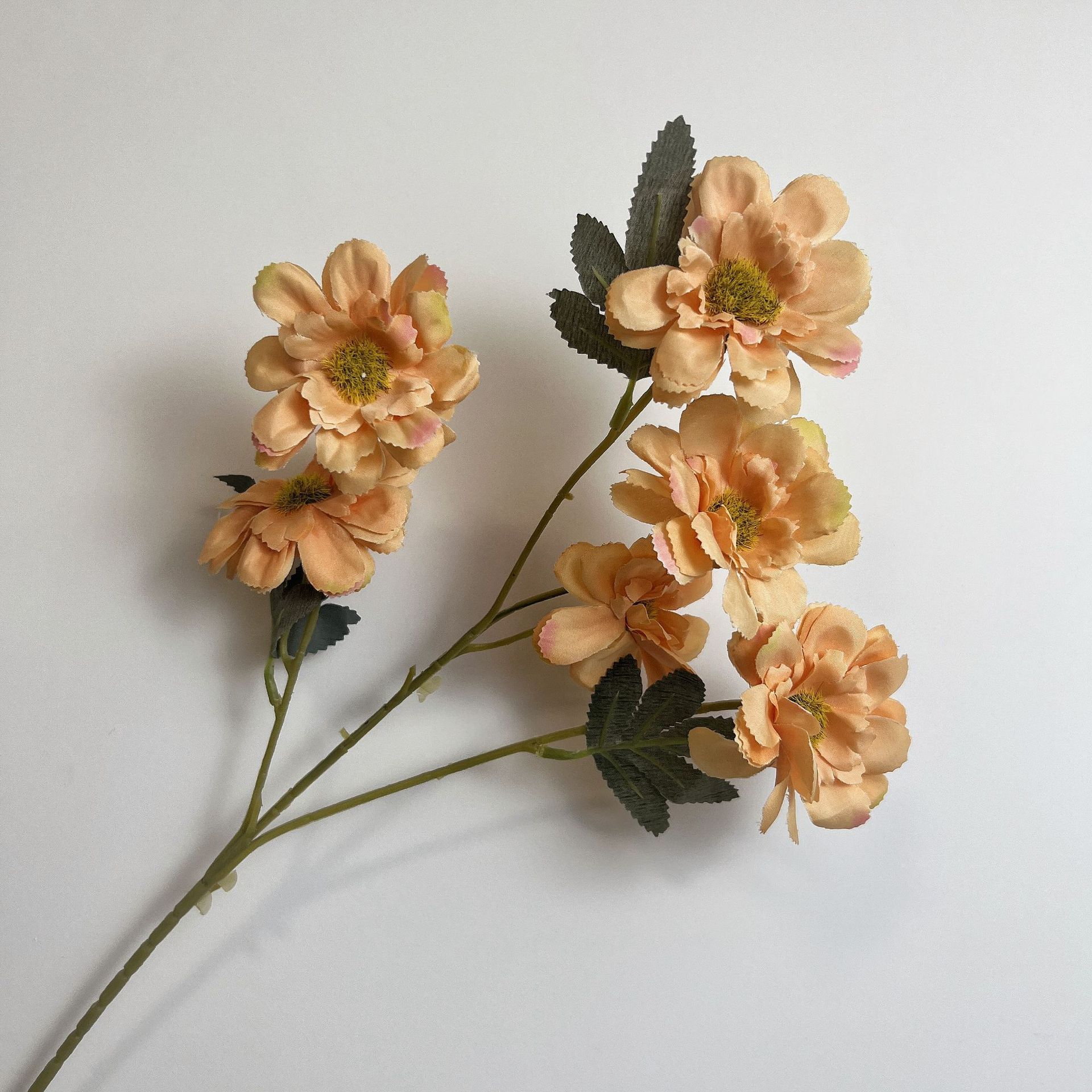 #2 Azalea