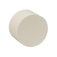 Filtro Antiparticolato Diesel (DPF) con Catalizzatore Ceramico a Nido d'Ape per Sistemi di Scarico, con Servizi di Stampaggio e Piegatura