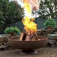 Vente flash : foyer extérieur en métal robuste pour patio, jardin et camping