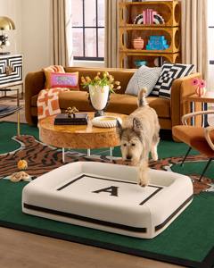 ओएम गंध पर्यावरण के अनुकूल चबाने वाले लक्जरी पालतू बिल्ली ऑर्थोपेडिक मेमोरी फोम कुत्ते बिस्तर के लिए कस्टम कुत्ते बेड वाटरप्रूफ हटाने योग्य कवर - Product Image 5