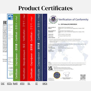 Công nghiệp phẳng phim tuôn ra màng vệ sinh nồi hơi máy phát áp lực SS304/SS316L Vật liệu 0.5% FS Độ chính xác-1bar ~ 16bar - Product Image 5