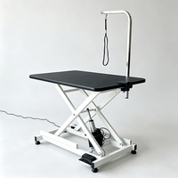 Table de toilettage motorisée professionnelle pour animaux de compagnie, station de toilettage électrique silencieuse pour chiens, table élévatrice pour vétérinaires et animaleries