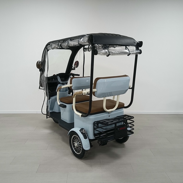 China-Made 3-Wheel Electric Tricycle for Adults Elderly Passengers 3 Wheels Electric Scooter