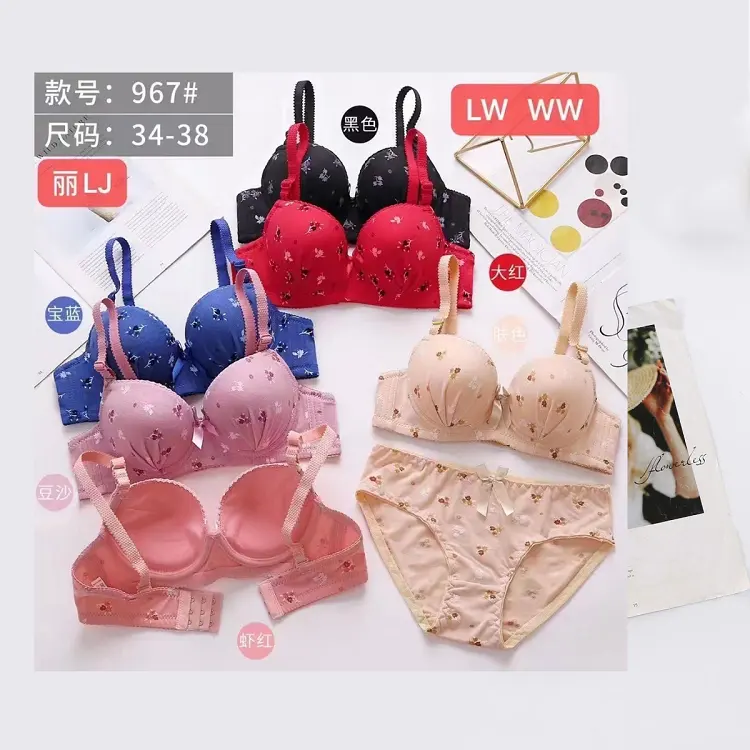 2.28 Dollar Model EM050 Size 34-38 Southeast Asia Market Stock Ready Lady Push Up Lace Bra Set With All Colors