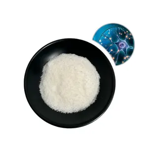 Gamma Aminobutyric Acid 99% GABA Powder GABA Manufacturer