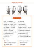 300L 500L 1000L Équipement de fermentation à usage domestique pour le brassage de la bière