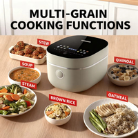 Cuisinière à riz multifonctionnelle avec pot intérieur en acier inoxydable chauffant par induction de 5 L, maintien au chaud automatique, revêtement céramique 360g