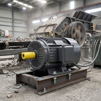Moteur asynchrone triphasé professionnel haute efficacité pour concasseur