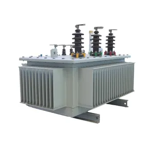 10kv Oil immersed Amorphous metal transformer electrical equipment international quality standards high quality wholesale