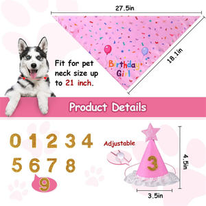 חיות מחמד שמחה קישוטי יום הולדת כלב מחמד דיגי רוק מודפס דו צדדי סט כובע יום הולדת לכלבים - Product Image 3
