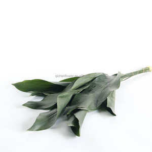 Feuilles d'<span class=keywords><strong>Aspidistra</strong></span>, boîte cadeau haut de gamme, personnalisable, cadeau pour la Saint-Valentin, bouquet de fleurs, tiges de fleurs fraîches, vente en gros en Chine - Product Image 5