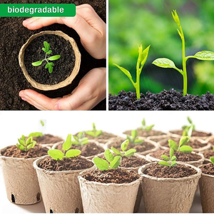 <span class=keywords><strong>Maceta</strong></span> <span class=keywords><strong>de</strong></span> plántulas biodegradable, taza <span class=keywords><strong>de</strong></span> pulpa <span class=keywords><strong>de</strong></span> <span class=keywords><strong>papel</strong></span>, macetas <span class=keywords><strong>de</strong></span> vivero <span class=keywords><strong>de</strong></span> plántulas, taza <span class=keywords><strong>de</strong></span> germinación <span class=keywords><strong>de</strong></span> plántulas desechable - Product Image 2