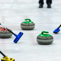 ZSPE Kompakte Faltbare Synthetische Eis-Curlingbahn für Curling-Spielverleih mit Curlingbahn