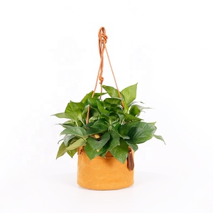 CHANGRONG Sac de rangement de fleurs suspendu en <span class=keywords><strong>toile</strong></span> cirée résistante à l'eau personnalisée <span class=keywords><strong>pour</strong></span> la décoration de <span class=keywords><strong>jardin</strong></span> à la maison - Product Image 3