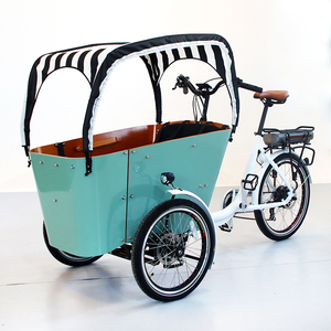 Entrepôt néerlandais de l'UE, vélo à 3 roues avec boîte de chargement, <span class=keywords><strong>tricycle</strong></span> de chargement à chargement frontal à vendre, vélo de chargement électrique - Product Image 2