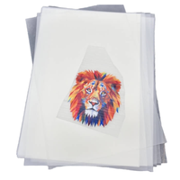 Láminas de Transferencia Térmica Instantánea DTF A4/A3, PET de Alta Calidad para Impresión de Ropa, Papel de Transferencia para Impresión Digital 13x19