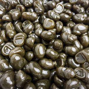 เหยื่อหอยทาก1.5กรัมเหยื่อตกปลาคาร์พแบบนิ่มเหยื่อลอยหรือจมสำหรับสายน้ำในทะเลสาบ - Product Image 3