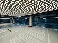 Peinture époxy pour sol à base d'eau écologique, prix de gros, bon durcisseur, longue durée de vie, application par pulvérisation, marque Dongsheng