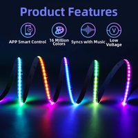 Tira de Luces LED RGB Direccionables COB de 10 mm, 24 V, Programables, con Efecto de Flujo, Control Remoto Inteligente para Entretenimiento