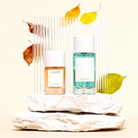 Stock d'usine : flacons de parfum en verre vides rectangulaires distinctifs de 30 ml, 50 ml et 100 ml. Boîtes d'emballage et bou
