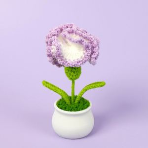 Hilo de Lana Carnation Morning Glory para Tejer a Mano, Color Macaron, Flor, Navidad, Halloween, Decoración de Plantas en Maceta, Graduación - Product Image 5