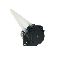 Pompe péristaltique miniature OEM personnalisée, 12V, faible bruit, micro-pompe de dosage de précision pour le traitement de l'eau potable, fournie directement par l'usine