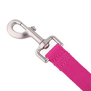Factory Direct Umwelt freundliche Hanfgurt-Hunde leine Easy Clean Hundehalsband-Leine und Geschirrset mit weicher Fleece-Polsterung - Product Image 4
