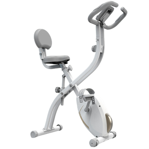 2025 equipo de culturismo ajustable LuckyStars deportes Fitness <span class=keywords><strong>plegable</strong></span> X bicicletas ciclismo interior deportes bicicleta estática - Product Image 1