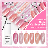 BD Hema Free 12 Couleurs Magnétique Gel Polonais Uv Led Durci Oem Odm Disponible Nude Jade Cats Eye Gel Polonais TPO Gratuit