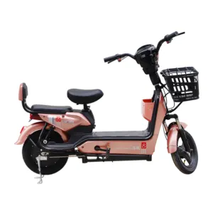 Elektrische Motorfiets Volwassen Scooter Elektrische Stadsfiets