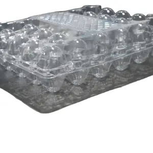 علبة بيض بلاستيكية شفافة مستطيلة الشكل بتصميم بيض من البولي إيثيلين تيريفثالات تحتوي على 24 فتحة، علبة لتنظيم بيض يمكن التخلص منها، علبة بيض رائعة للتعبئة